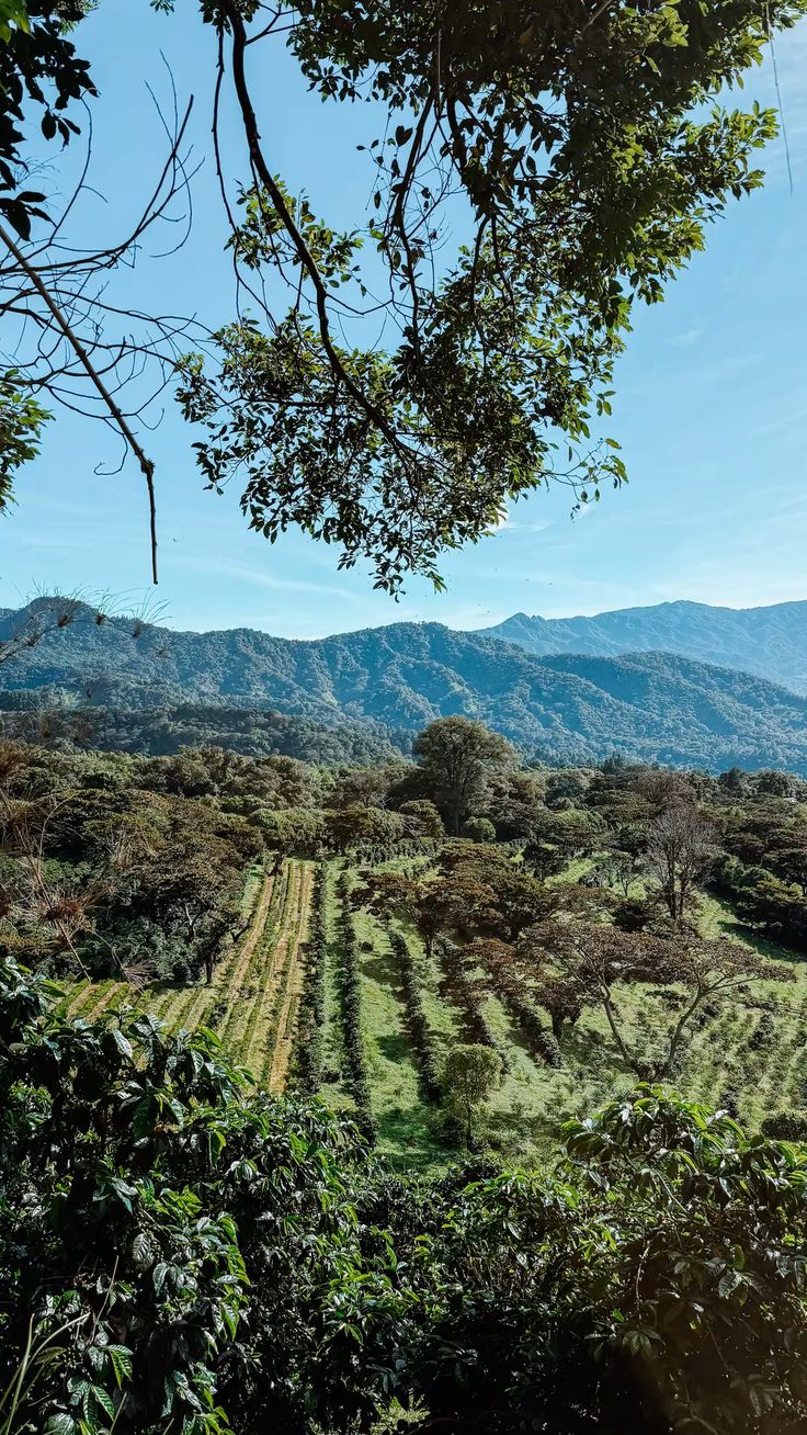 Panama